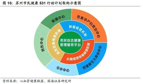 麦迪科技（603990）深度报告 国家计算机产业助推下的成长逻辑与投资价值分析